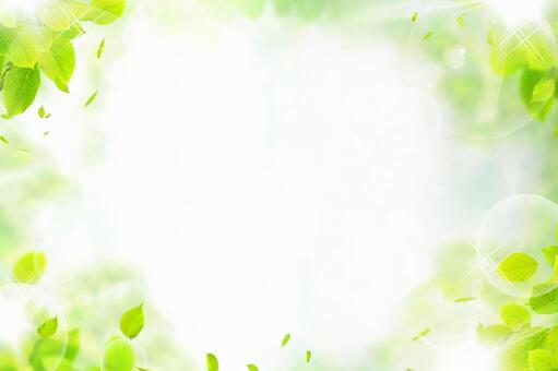 背景新鮮的綠葉框架陽光紋理 背景新鮮的綠葉框架陽光紋理