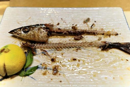 食べ終わったサンマ 秋刀魚,さんま,サンマの写真素材