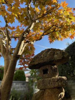 紅葉と灯籠 紅葉と灯籠の写真
