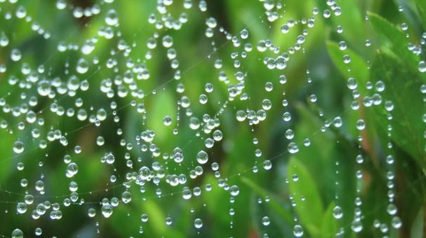 Sparkling, JPG