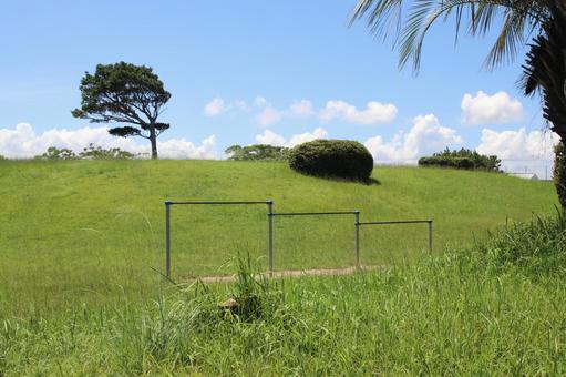 雁の巣児童遊戯広場 雁の巣児童遊戯広場 きれい,植物,外の写真素材