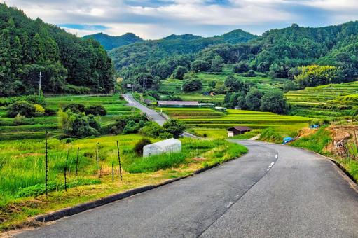 棚田が広がる奈良県明日香村稲渕地区 棚田が広がる奈良県明日香村稲渕地区 田んぼ,棚田,水田の写真素材
