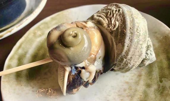 サザエ1 サザエ1の写真