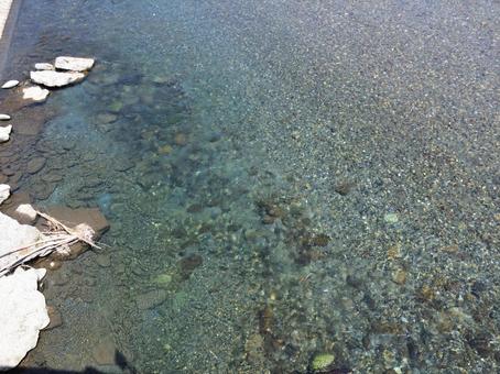 夏の透明度の高い清流 夏の透明度の高い清流 自然,風景,川の写真素材