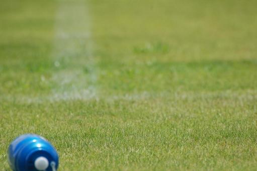 天然芝 熱中症 サッカー ラグビー 天然芝 熱中症 サッカー ラグビー センターライン,ラグビー,スタートの写真素材