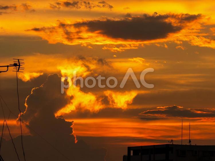 小岩の江戸川堤から見た夕焼け 小岩,江戸川堤,空の写真素材