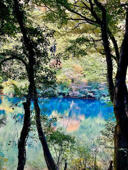 The colors of early autumn reflected on the lake surface, autumn, autumn leaves, early autumn, JPG