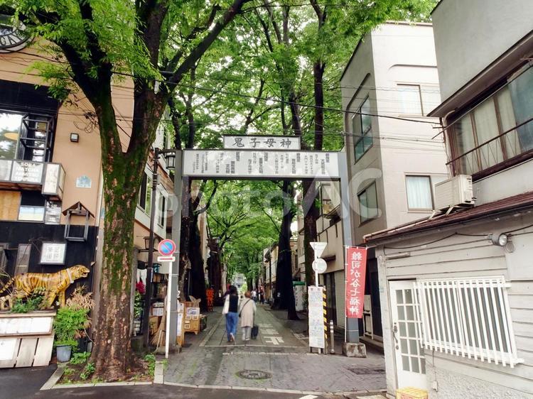 鬼子母神大門ケヤキ並木（鬼子母神表参道） 鬼子母神,大門ケヤキ並木,鬼子母神表参道の写真素材