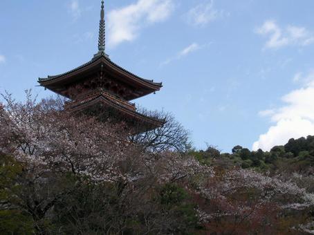 京都 清水寺 京都 清水寺の写真