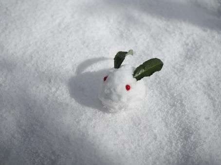 Snow rabbit 2, winter, snow, a snow rabbit, JPG