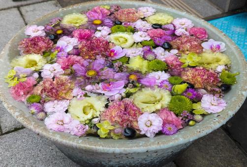 色とりどりの花が浮かぶ花手水 花手水,花,花びらの写真素材