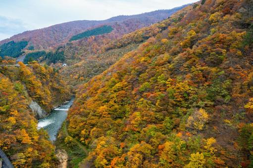 鳴子ダムの紅葉⑿ 秋,紅葉,山の写真素材