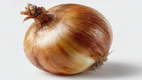 新鮮な玉ねぎクローズアップの写真