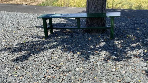 木とベンチの写真