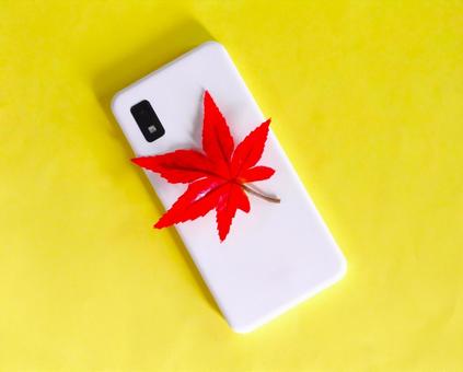スマホと紅葉(黄バック) スマホと紅葉(黄バック) スマホ,ビジネス,紅葉の写真素材