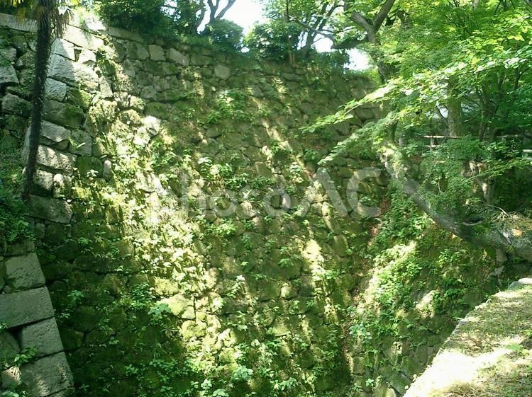 岡崎城の石垣 岡崎城,岡崎,愛知県の写真素材