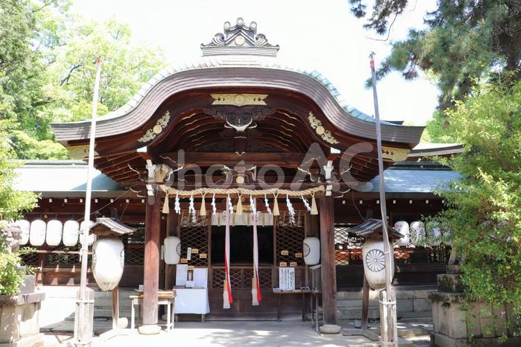 御霊神社（上御霊神社）本殿 御霊神社,上御霊神社,本殿の写真素材