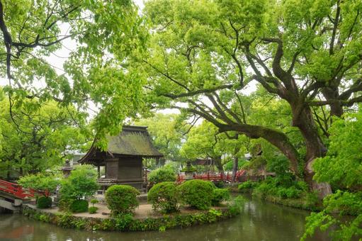 The red bridge of Dazaifu Tenmangu Shrine, JPG