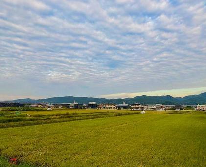 【空の写真】秋空 【空の写真】秋空の写真