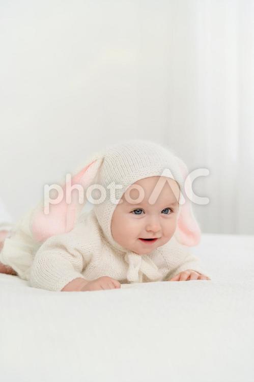 うさぎのコスチュームで腹ばいする赤ちゃん 赤ちゃん,かわいい,うさぎの写真素材