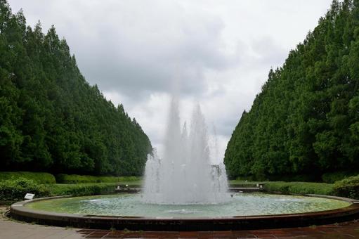 相模原公園のフランス式庭園の噴水 相模原公園のフランス式庭園の噴水の写真