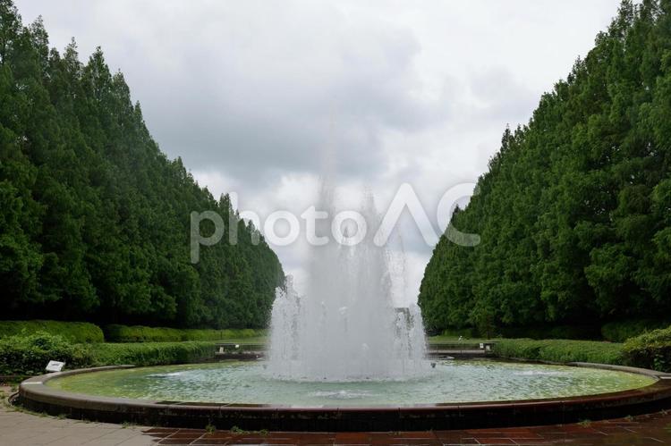 相模原公園のフランス式庭園の噴水 噴水,相模原公園,梅雨の写真素材