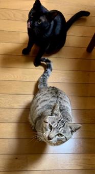 タネちゃん&そとちゃん タネちゃん&そとちゃんの写真