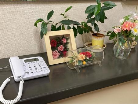 受付台 受付,受付台,電話の写真素材