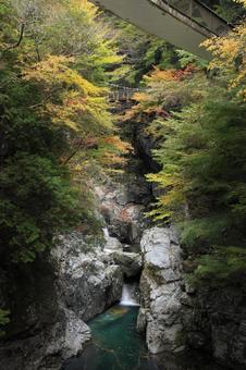 みたらい渓谷 紅葉 みたらい渓谷 紅葉 みたらい渓谷,紅葉,清流の写真素材