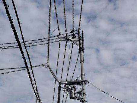 フン害対策電柱 鳥よけ,カラス避け,鳩避けの写真素材