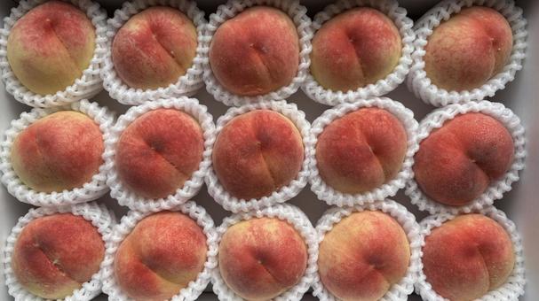 Lots of peaches (horizontal), peach, peach, fruit, JPG