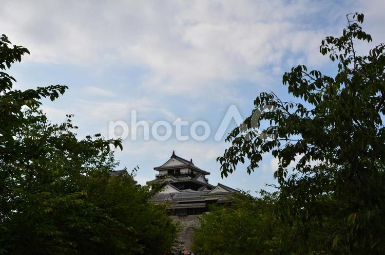 松山城の遠景 お城,松山城,城郭の写真素材