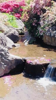 池 池の写真