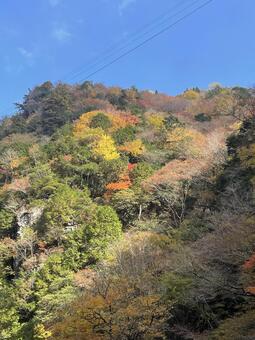 錦秋の渓谷 山,森,川の写真素材