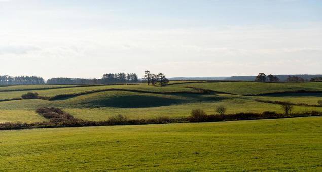 光と影が織りなす起伏のある牧草地 丘,牧草地,牧場の写真素材