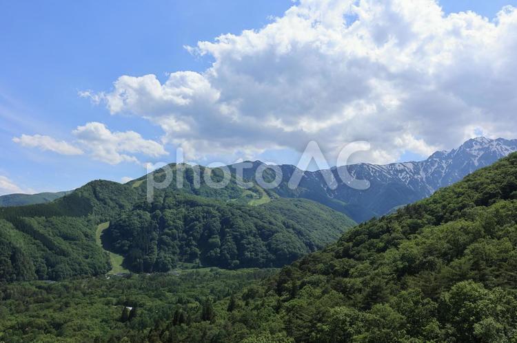 サマーシーズンのスキー場 夏場,避暑地,白馬村の写真素材