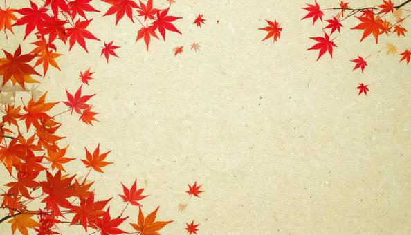 コルクボード隅に紅葉背景 コルクボード隅に紅葉背景の写真