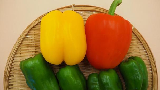 パプリカとピーマンの青椒肉絲（食材） パプリカ,ピーマン,赤パプリカの写真素材