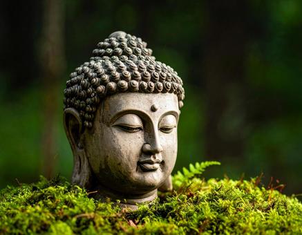 緑の中のブッダヘッドの写真
