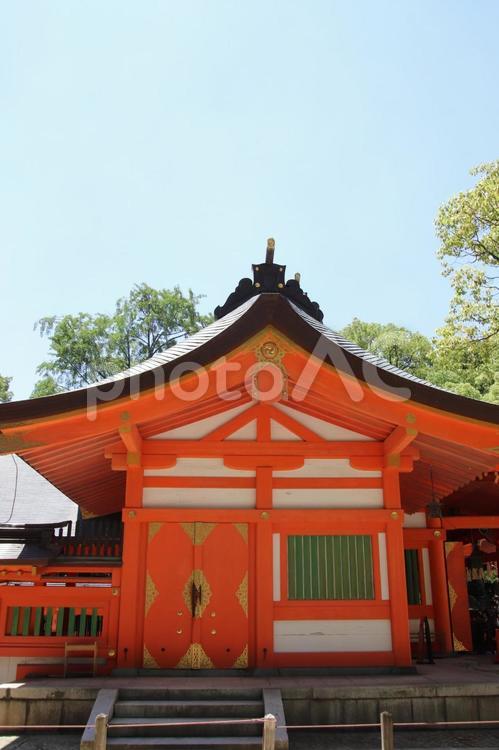 福岡市の住吉神社の本殿 住吉神社,福岡市,参拝の写真素材