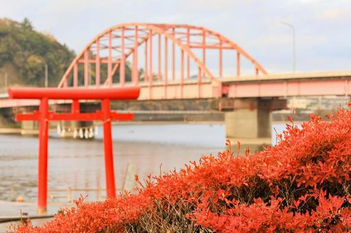 高滝湖 高滝湖,小湊鐵道,高滝駅の写真素材