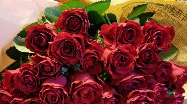 薔薇の花束 薔薇の花束 赤いバラ,薔薇,花束の写真素材