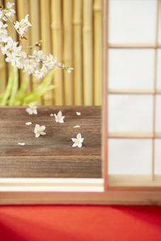 花見 和室 茶室 緋毛氈 赤いカーペット 花見 和室 茶室 緋毛氈 赤いカーペット 花見,和室,桜の写真素材