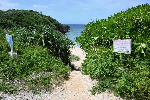 海へ続く道 海へ続く道 海,風景,草の写真素材
