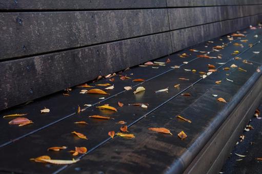 ベンチに葉っぱ ベンチ,長椅子,共同椅子の写真素材