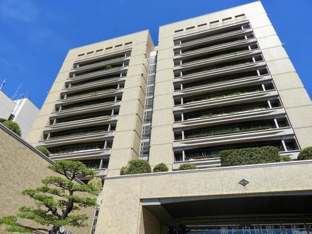 高松市役所を見上げる 高松市役所を見上げる 高松市役所,高松市,市役所の写真素材
