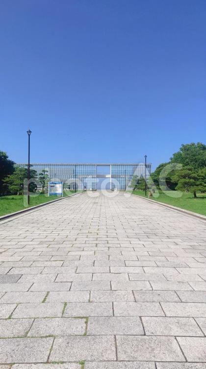 【葛西臨海公園】青空と展望台に続く道 葛西臨海公園,臨海公園,道の写真素材