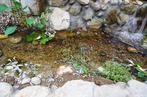 澄んだ小川 澄んだ小川 小川,水辺,自然の写真素材