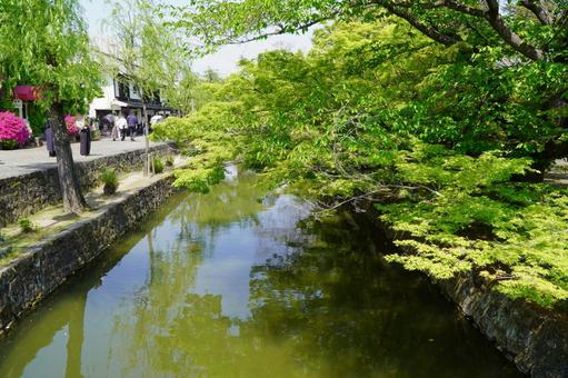 倉敷美観地区252 倉敷美観地区252の写真