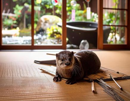 和室のかわうそ 和室のかわうその写真